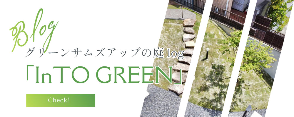 グリーンサムズアップの庭log｢InTO GREEN」